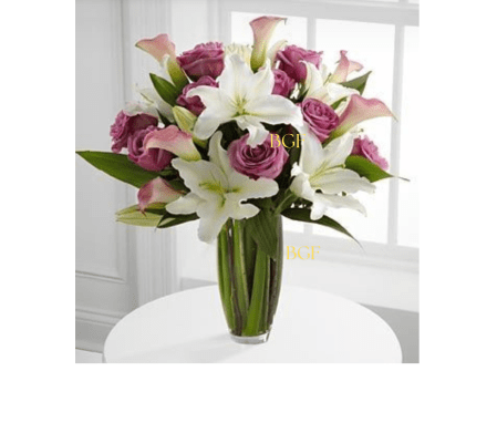 White lavender Roses Cala