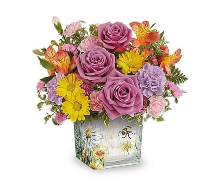 Sweet Buzz Radiance Blooms