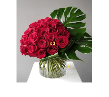 Rose in Love with Green 