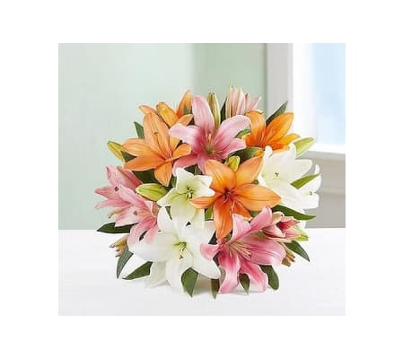  Sally's Colorful Lily Wrapped Bouquet