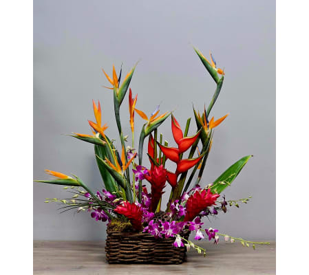 Bird's Nest - Exotic Tropicals