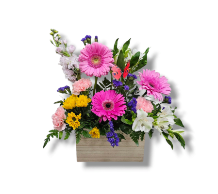 Radiant Spring Embrace