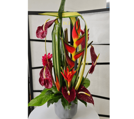 Hot Tropical Paradise 