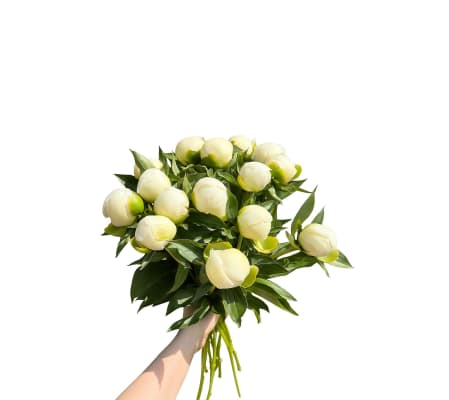 White Peony Bouquet (15 stems)