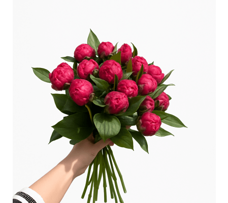 Strawberry Pink Peony (15 Stems)