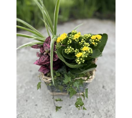 Tropical planter square basket