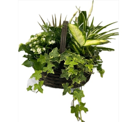 Large Tropical Planter Basket