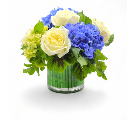 Harmonious Hydrangea 