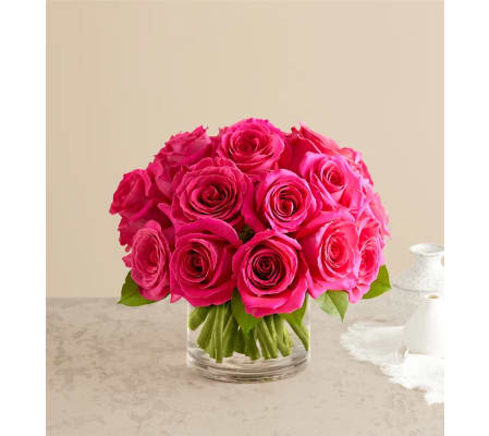 Contemporary Hot Pink Roses