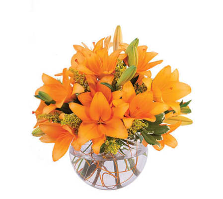 Orange Sorbet Bouquet
