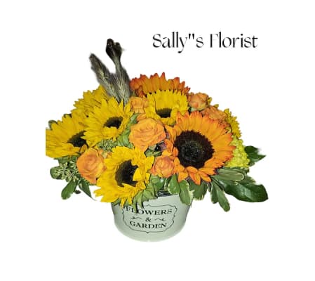 Sally's Boundless  Dream Sunflower