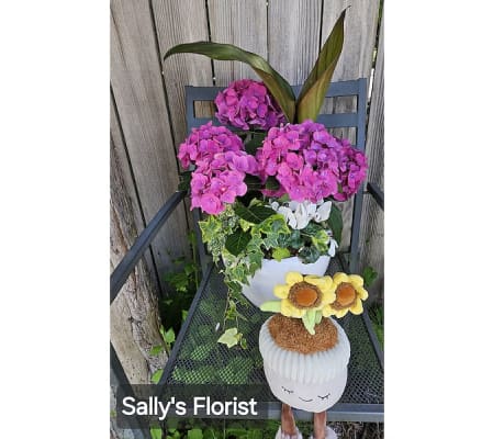 Sally's Planter with Plush Plant