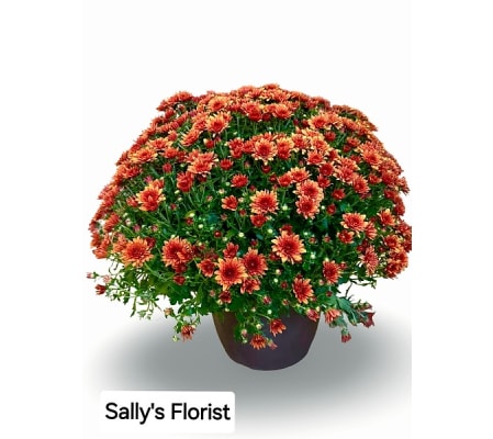 Sally's Fall Garden mom large