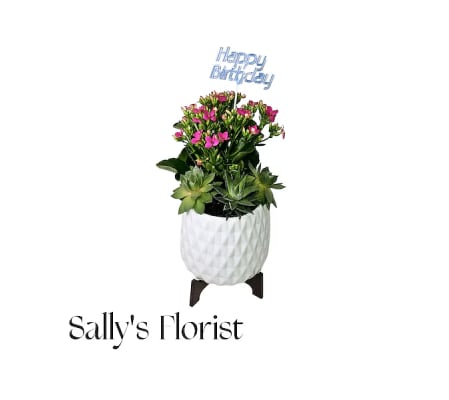 Birthday Bloom & Succulent Garden