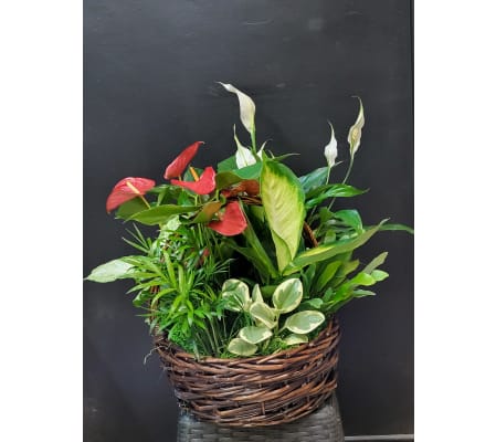 Peace & Passion Garden