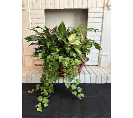 SECRET GARDEN BASKET