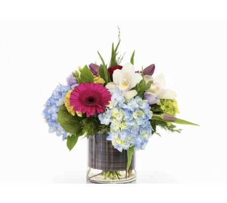 Blissful Bloom Harmony