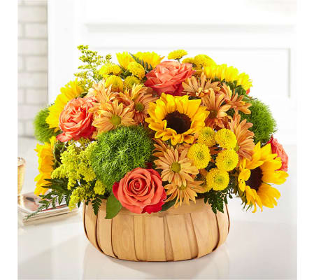 Harvest Sunflower Basket by FTD by Kelly Ann's