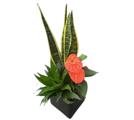 Mixed Tropical Square Planter