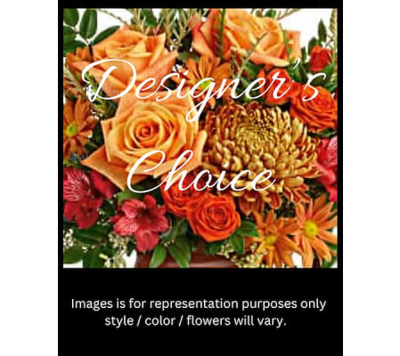 Designer's Choice for Fall