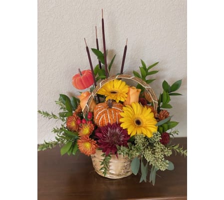 Afternoon in the Pumpkin Patch 