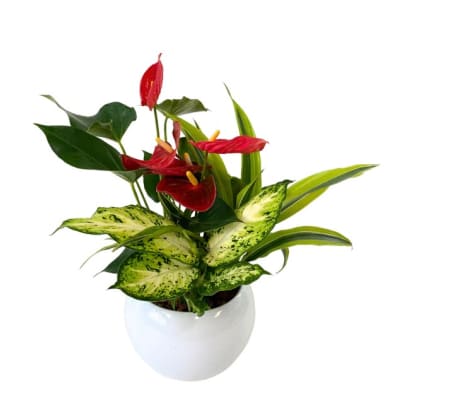 Round Peaceful Planter