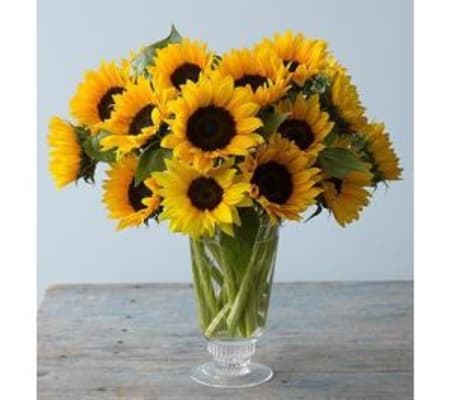 Rise and Shine Unique 