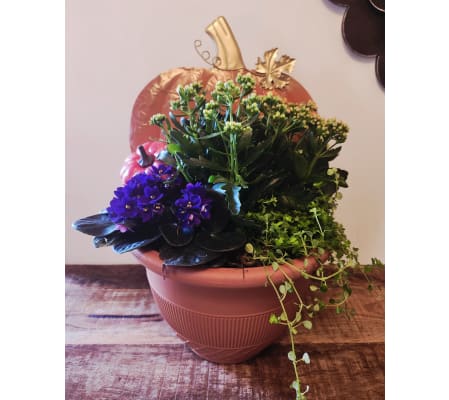 Thanksgiving Pumpkin Planter