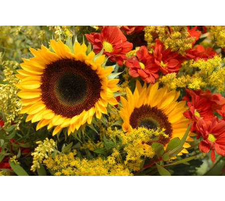 Autumn Seasonal Handtied Bouquet - NO VASE - 