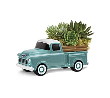 chevy truck succulent garden