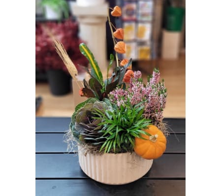 Harvest Whisper Blooms