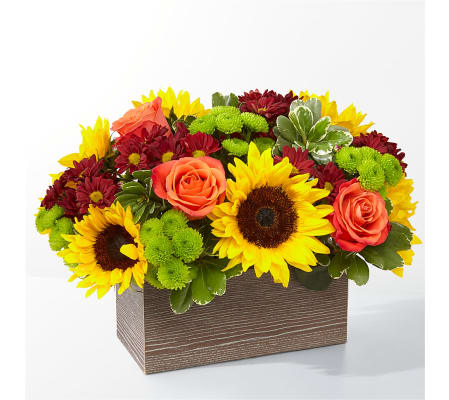 FTD Happy Harvest Garden