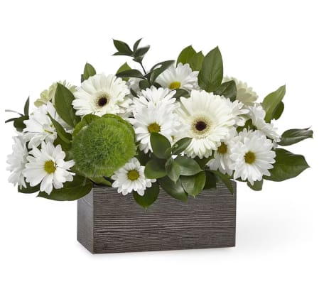 Contrast of Green and White 