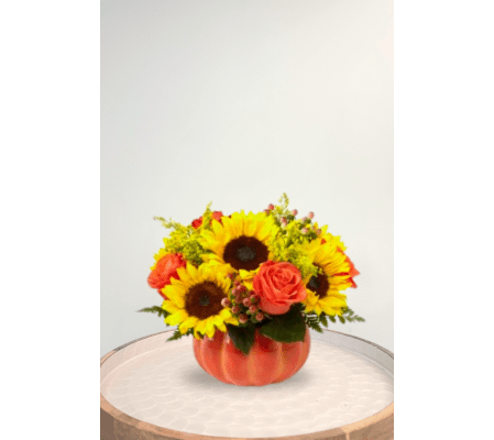 Harvest Traditions Pumpkin