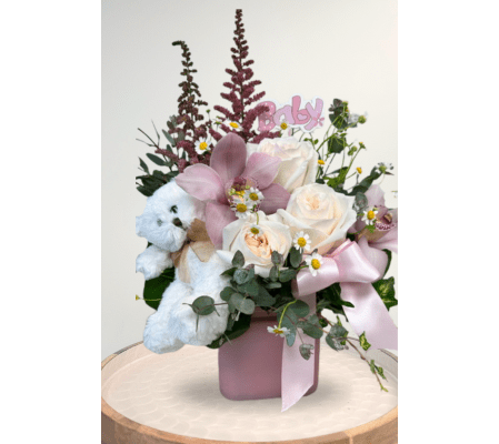 Beary Cute Baby Girl