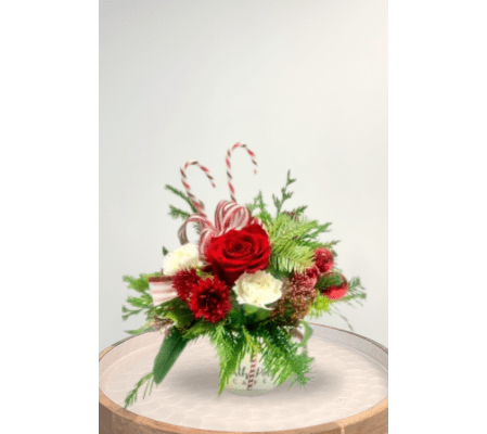 Christmas Cheer (Mug and candy canes)