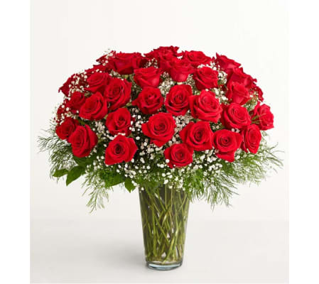 Ultimate Elegance Long Stem Roses