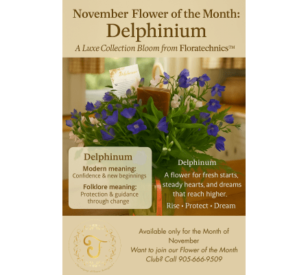 Delphinium – November Flower of the Month Arrangement