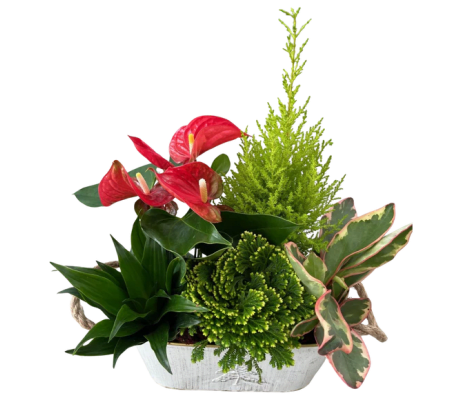 Christmas white Oval Tin Planter