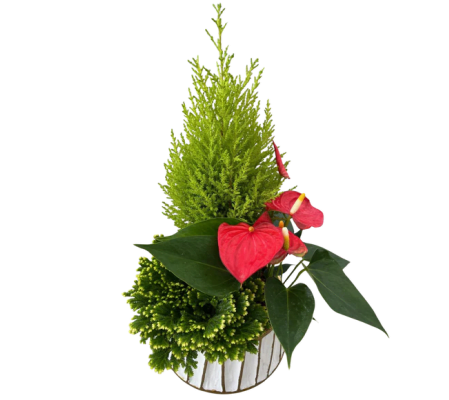 Christmas White Gold Stripe Tropical