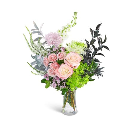 Popular and Powerful