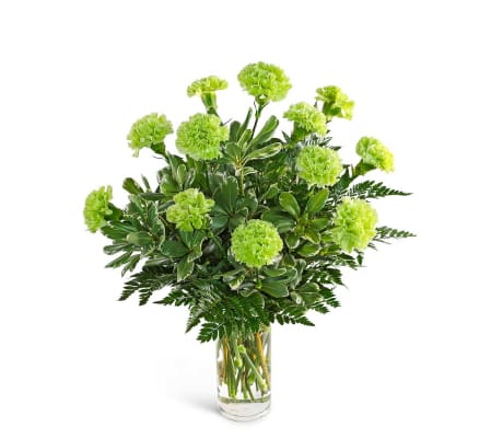 One Dozen Green Carnations
