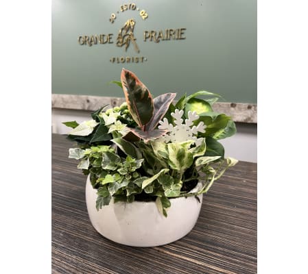 Winter Ceramic Planter