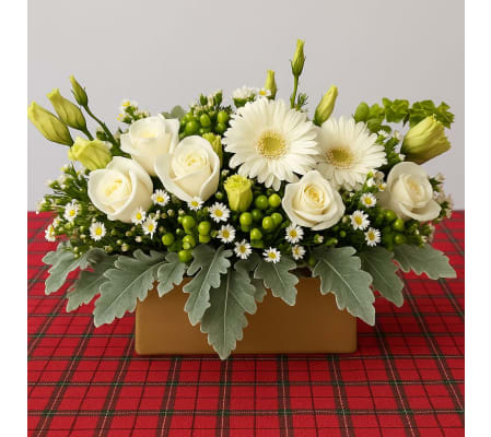 Pure Elegance Garden