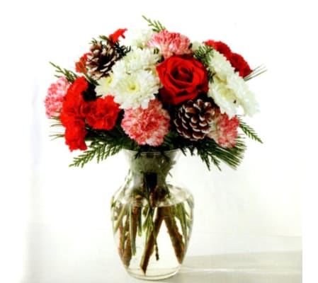 Candy Cane Rose Delight