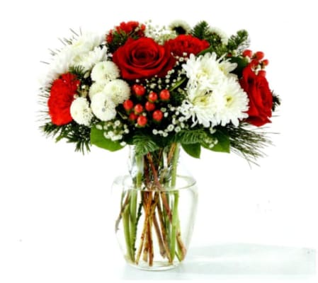 Crimson & Snowfall Delight