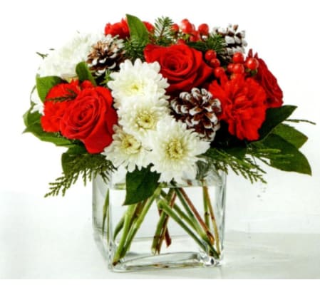 Crimson Frost Delight