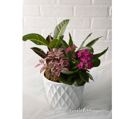 Medium Tropical Whtie Ceramic Planter 