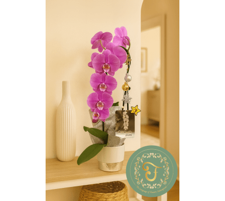 Purple Waterfall Orchid Plant with Holiday Lights