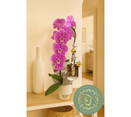 Purple Waterfall Orchid Plant with Holiday Lights